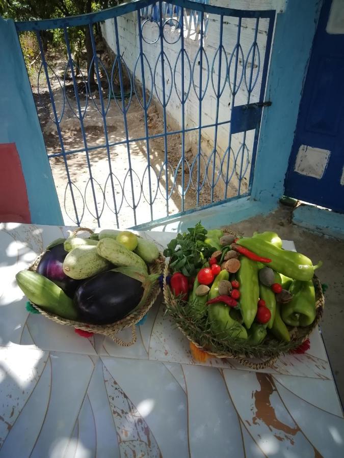 Nefzi Guest House المظهر الخارجي الصورة