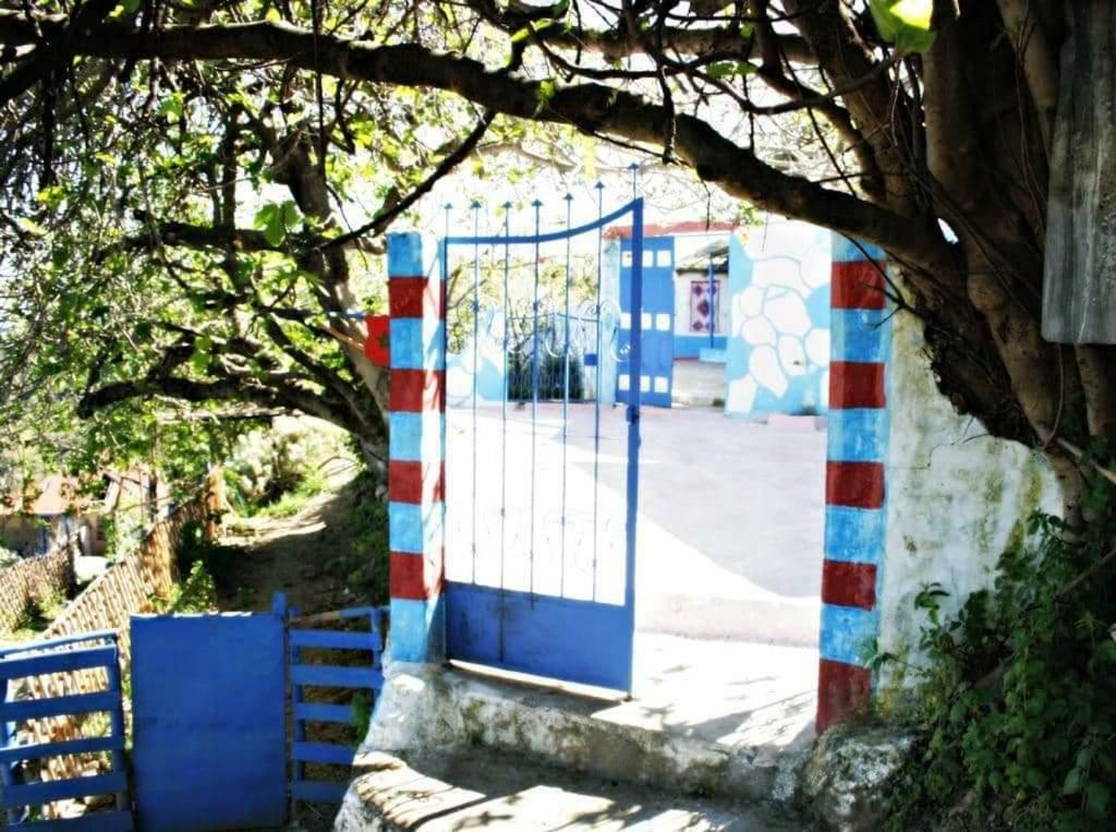 Nefzi Guest House المظهر الخارجي الصورة